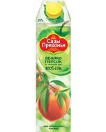 GARDEN PRIDONYA juice apple-peach, 1l