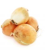 Onions in a net, 5kg