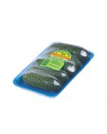 Packaged fresh cucumbers LUX, 450 g