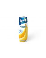 Banana nectar SANTAL, 1l