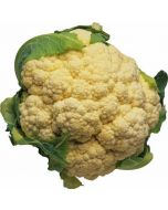 Cauliflower, weight, ~ 1 kg