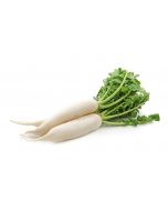 Radish Daikon, weight, ~ 1 kg