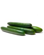 Medium-sized cucumbers, ~ 1 kg