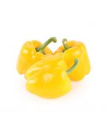 Yellow pepper, weight, ~ 1 kg
