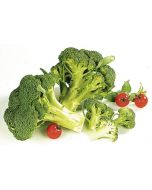 Broccoli ARETOL, 10kg