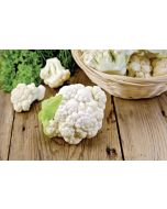 Cauliflower FINE LIFE 20/40, 400g