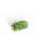 Pea microgreens, 500 g