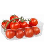 Cherry tomatoes on a branch, 450 g