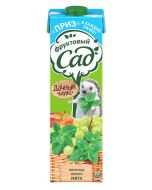 Nectar FRUIT GARDEN Apple-grapes, 0.95 l