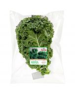 Cabbage curly KALE