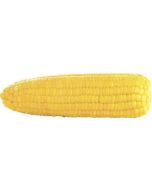 Sweet corn ARETOL, 10 kg