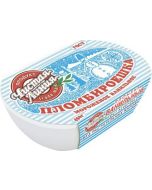 Ice cream sundae PURE LINE Sundae Vanilla container, 450g
