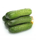 Short-fruited cucumbers, ~ 1 kg