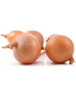 ONION REPKA 500G