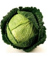 Savoy cabbage, weight, ~ 1 kg