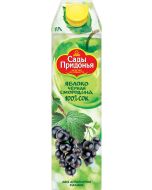 Juice from apples and black currant GARDEN PRIDONYA, 1 ​​l