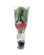 Turnip MOSCOW Cocabu, pot