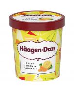 Ice cream HAAGEN-DAZS Lemon and tangerine without milk fat substitute, 400 g