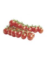 Cherry SWEET BERRY On a branch, 200 g