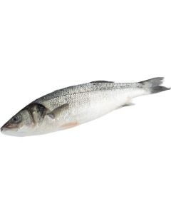 Chilled seabass, ~ 400-600 g