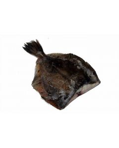 Chilled gutted flounder without head, ~ 300-500 g