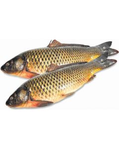 Gutted carp, chilled, with head