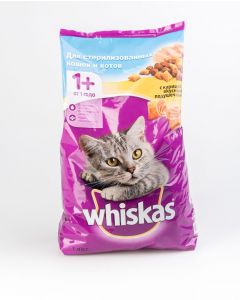 food and canned food for cats pets