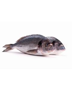 Chilled dorada, ~ 300-400 g