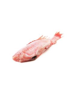 Chilled perch, ~ 200-300 g