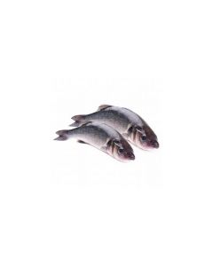 Chilled seabass, ~ 200-300 g