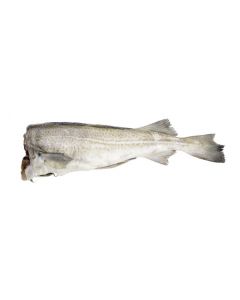 Chilled cod fillet KALAN, by weight