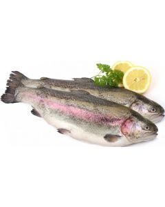 Chilled trout