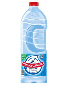 Non-carbonated water CHERNOGOLOVKA, 2.5l