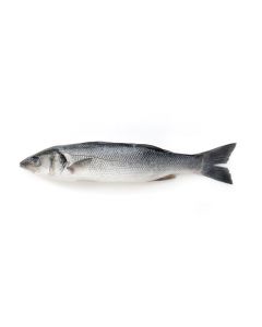 Chilled sea bass, ~ 300-400 g
